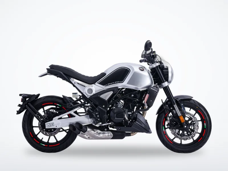 Regal Raptor Shark 250