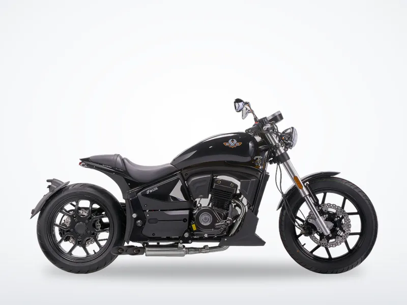 Regal Raptor Pilder 250